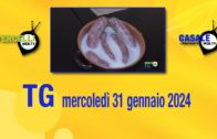 TG – Mercoledì 13 novembre 2024