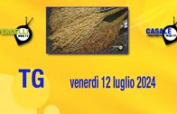 TG – Lunedì 14 ottobre 2024