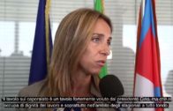 TG – Giovedì 12 settembre 2024