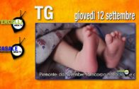 TG – Mercoledì 11 settembre 2024