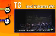 TG – Giovedì 12 dicembre 2024