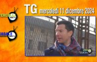 TG – Lunedì 2 dicembre 2024