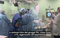 Il Piemonte pronto ad accogliere i bambini oncologici di Gaza al Regina Margherita