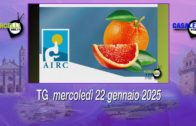 TG – Martedì 14 gennaio 2025